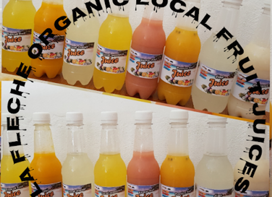 seychelles/beau-vallon/bar/la-fleche-local-organic-fruit-juices