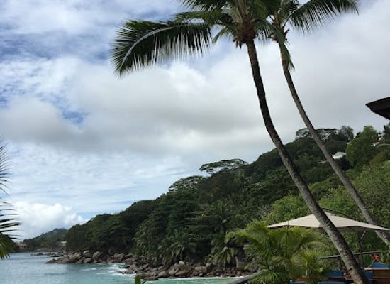 seychelles/ile-d-aurore/bar/ocean-view-bar