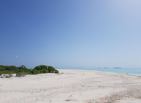 maldives/laamu-atoll/bar/saraka-fushi