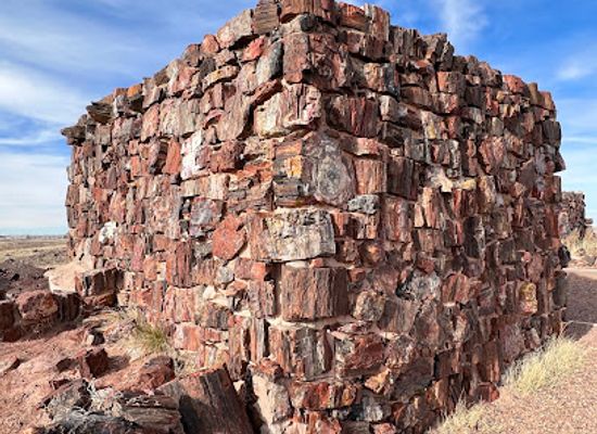 arizona/petrified-forest-national-park/bar/agate-house