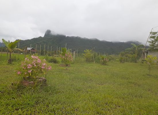 laos/vang-vieng-karst-landscape/bar/a-m-d-restaurant