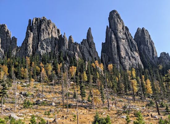 south-dakota/needles-highway/bar/needles