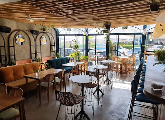 israel/netanya/bar/rhythm-social