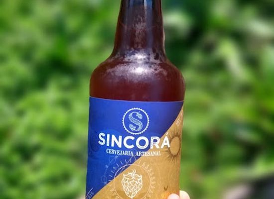 brazil/chapada-diamantina/bar/cervejaria-sincora