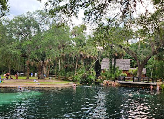 florida/juniper-springs-recreation-area/bar/juniper-springs-recreation-swimming-area-marion-county-fl