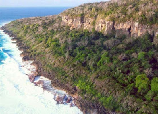 christmas-island/south-point/bar/christmas-island-national-park