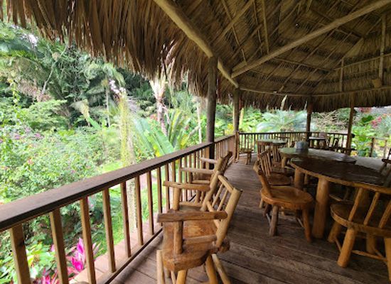 honduras/la-ceiba/bar/rio-vista-bar-and-grill