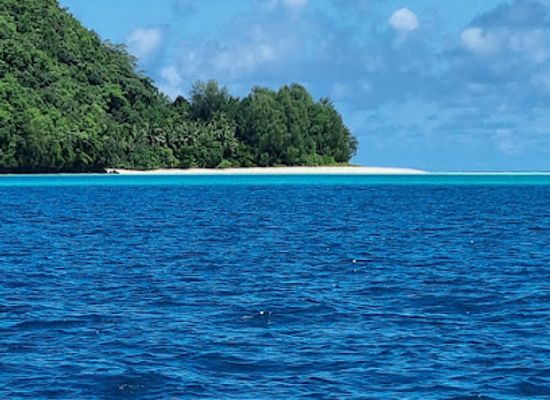 micronesia/koror/bar/micronesian-legal-services-palau