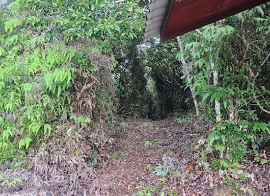 brunei/brunei-muara-district/bar/bukit-mentiri-trail