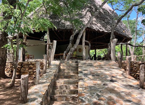 tanzania/selous-game-reserve/bar/lemara-eco-camp-selous