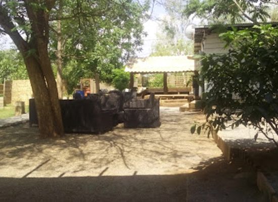 malawi/shire-valley/bar/harry-s-bar