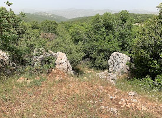 jordan/ajloun-forest-reserve/bar/ancient-wine-press