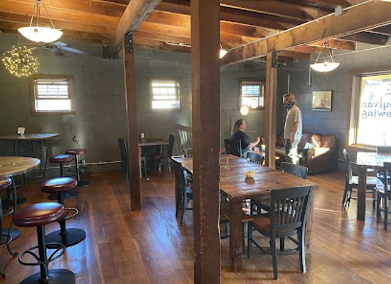 minnesota/driftless-area/bar/sylvan-brewing