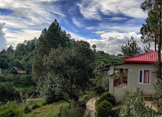 india/the-himalayas/bar/himalayan-eco-lodges-majkhali-woods