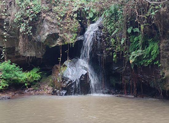 kenya/mount-kenya-national-park/bar/makuti-bar