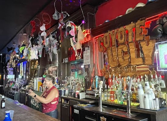 louisiana/river-parishes/bar/coyote-ugly-saloon