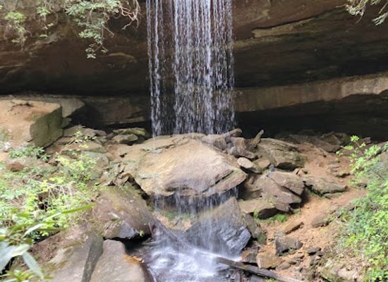 kentucky/daniel-boone-national-forest/bar/vanhook-falls-trailhead