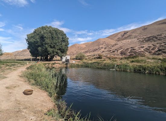 kyrgyzstan/naryn-region/bar/kulanak-forel