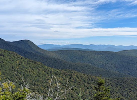 new-york/catskill-mountains/bar/friday-mountain