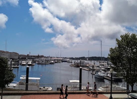 rhode-island/newport-coastline/bar/skiff-bar