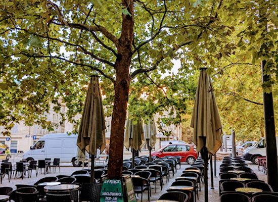 france/avignon/bar/bar-la-place-terrasse-cocktail-music
