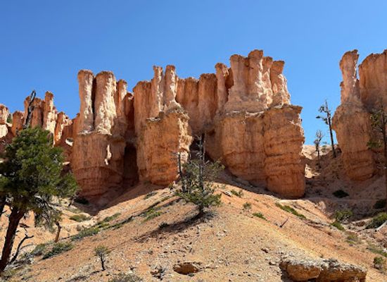 utah/bryce-canyon-national-park/bar/fairyland-point