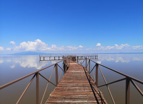 tanzania/lake-manyara-national-park/bar/lake-manyara-picnic-site