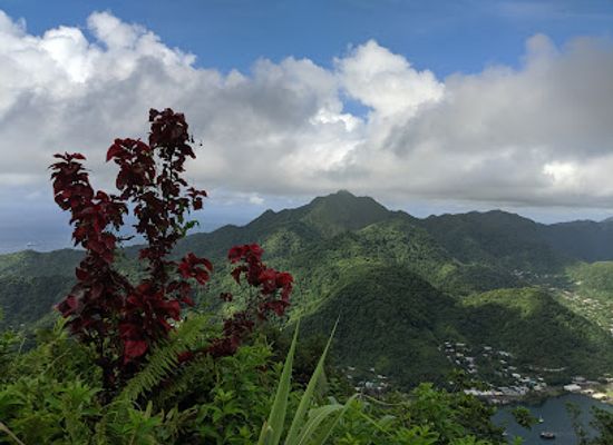 american-samoa/national-park-of-american-samoa/bar/national-park-of-american-samoa