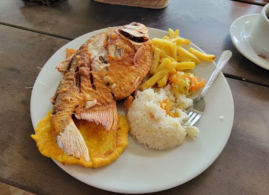 colombia/cano-cristales/bar/restaurante-punto-verde