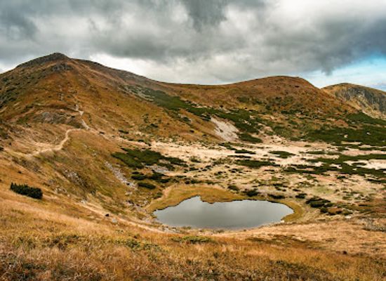 ukraine/bukovina/bar/chornohora