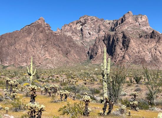 arizona/kofa-national-wildlife-refuge/bar/palm-canyon-kofa-n-w-r