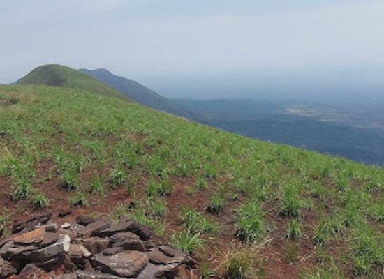 cote-d-ivoire/mount-nimba-strict-nature-reserve/bar/.