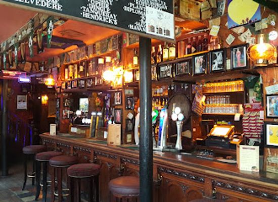 ireland/county-dublin/bar/the-hairy-lemon