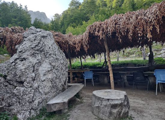 albania/valbona-valley-national-park/bar/simoni-kafe