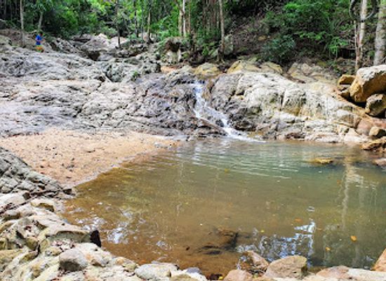 thailand/koh-samui/bar/tarzan-bar