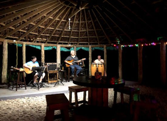 american-samoa/manu-a-islands/bar/flying-fox-gastropub