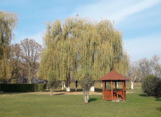 romania/mures/bar/terasa-chio