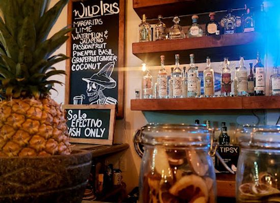 mexico/sayulita/bar/wild-iris-bar