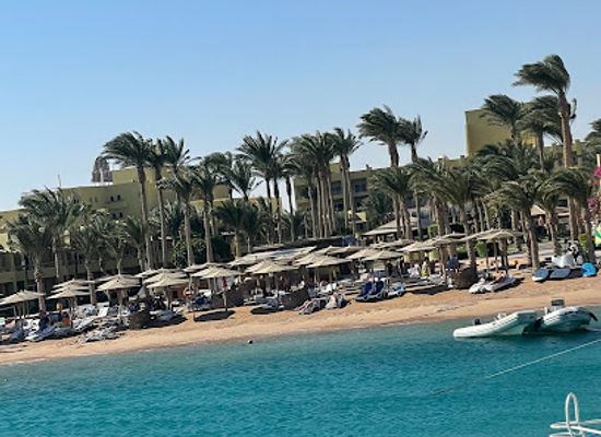 egypt/red-sea-coast/bar/pool-bar