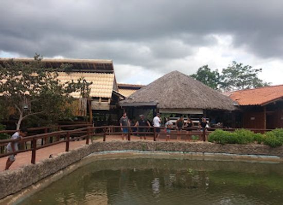 brazil/serra-do-roncador/bar/lago-da-serra