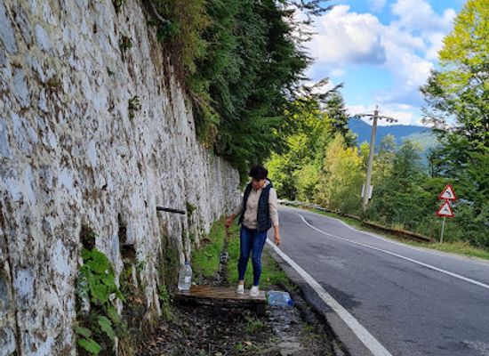 romania/transfagarasan-highway/bar/forest-house-grill-and-more