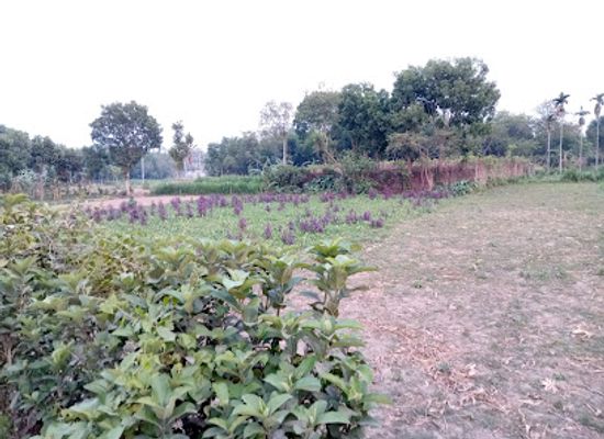 bangladesh/haor-basin/bar/