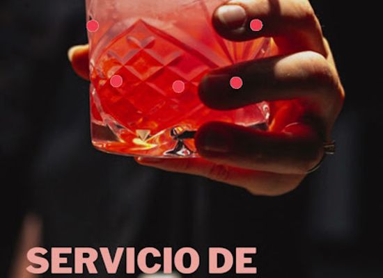 ecuador/guayaquil/barrio-del-centenario/bar/motorflair-bartender-cocteles-y-barras-moviles