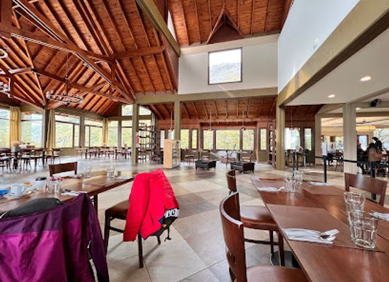 argentina/southern-patagonia/bar/resto-del-glaciar-perito-moreno