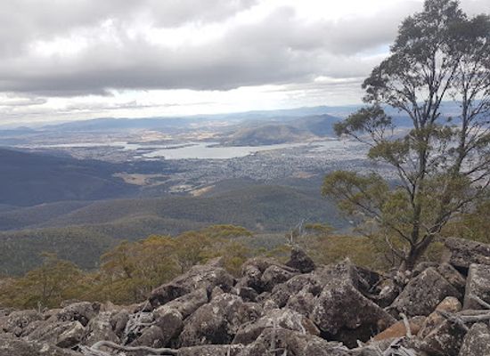 australia/mount-wellington/bar/sphinx-rock-lookout