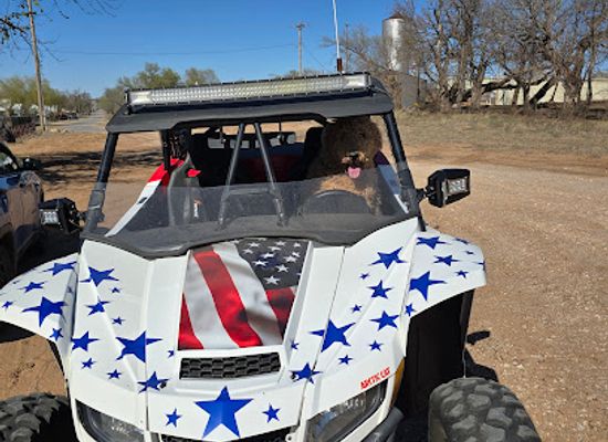 oklahoma/little-sahara-state-park/bar/sand-island