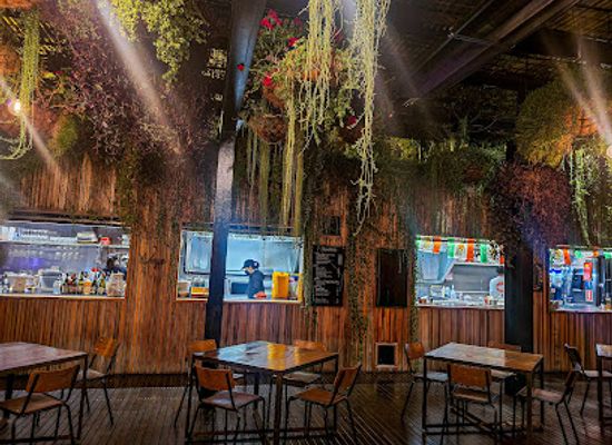 australia/mount-field-national-park/bar/in-the-hanging-garden