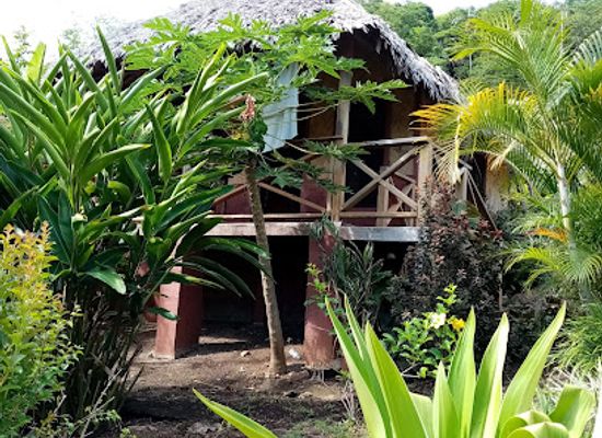 vanuatu/lakatoro/bar/lakatoro-palm-lodge