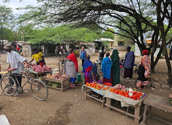tanzania/lake-manyara-national-park/bar/kigongo-inn