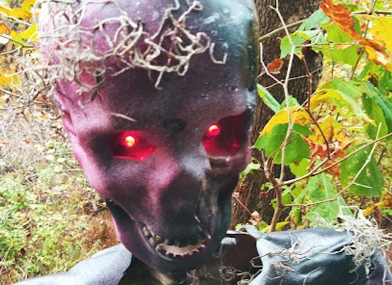 maryland/green-ridge-state-forest/bar/shady-rest-haunt